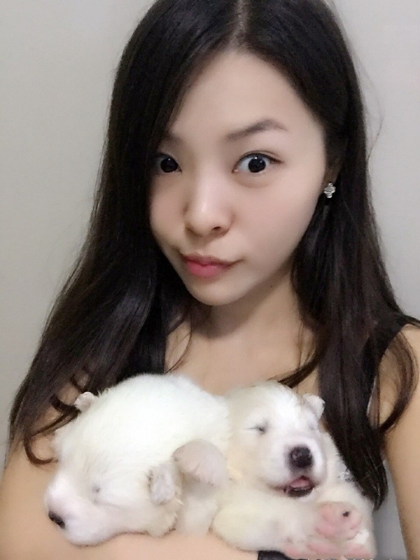 如果可以的第三张照片--龙岩相亲服务中心