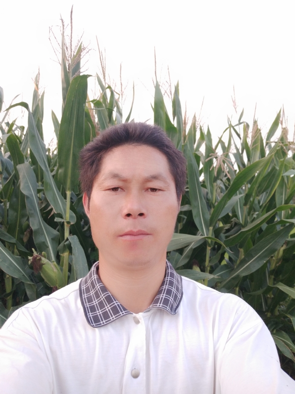 四海游龙的第一张照片--龙岩相亲服务中心