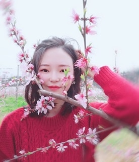 小桌子的第一张照片--龙岩相亲服务中心