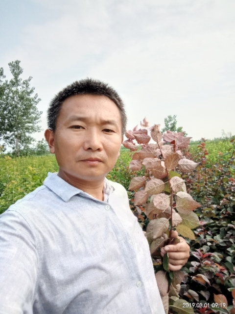 孩子爸的第二张照片--龙岩相亲服务中心