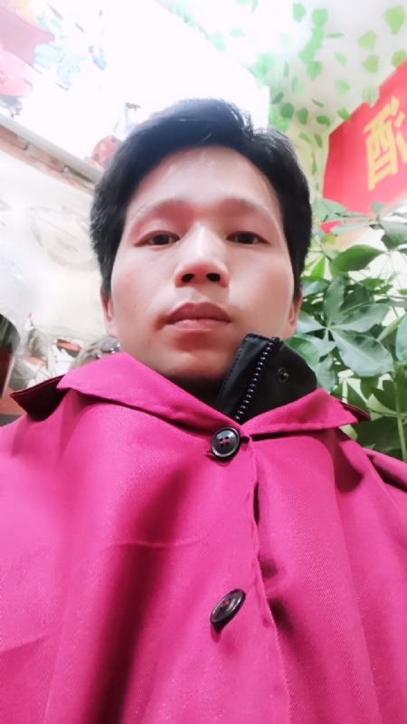 单身的林凡的第二张照片--龙岩相亲服务中心