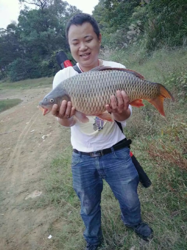 迷路的男人的第一张照片--龙岩相亲服务中心